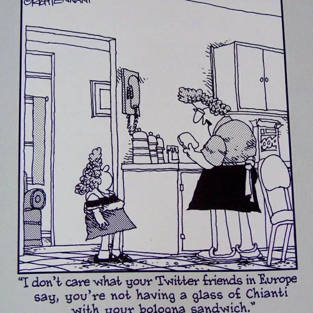 Book Bundle Twitter for Dummies  Advertising - Picture 4 of 9